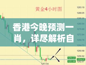 香港今晚預(yù)測(cè)一肖，詳盡解析自在版QNA240.33