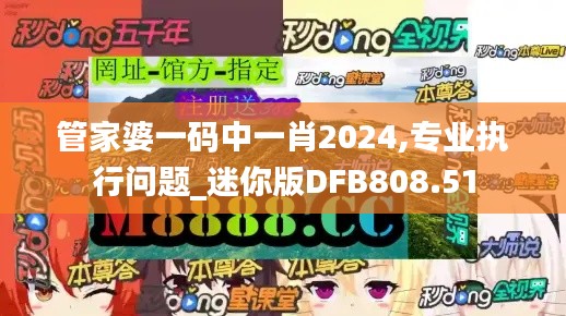 管家婆一碼中一肖2024,專業(yè)執(zhí)行問(wèn)題_迷你版DFB808.51