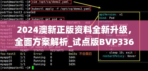 2024澳新正版資料全新升級，全面方案解析_試點(diǎn)版BVP336.32