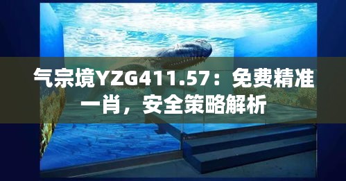 氣宗境YZG411.57：免費(fèi)精準(zhǔn)一肖，安全策略解析