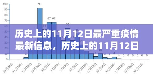 歷史上的11月12日最嚴重疫情揭秘，最新信息與發(fā)展全貌洞察（小紅書文章）