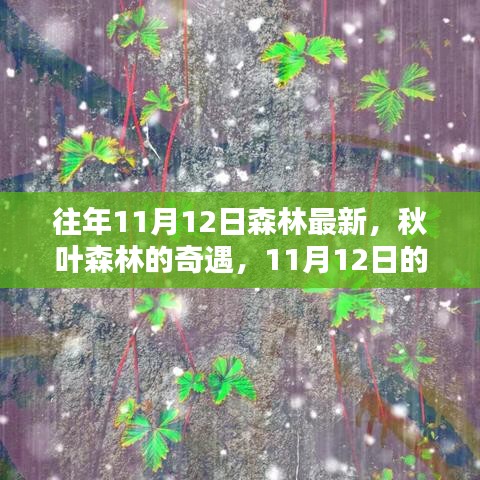 秋日森林奇遇，溫馨記憶中的最新秋葉森林