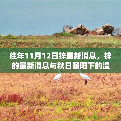 秋日暖陽下的鋅情，最新鋅消息與溫情故事回顧