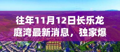 獨家揭秘，往年11月12日長樂龍庭灣最新動態(tài)與細節(jié)曝光！