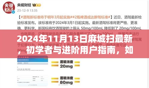 麻城掃最新技能指南，初學(xué)者與進(jìn)階用戶如何掌握