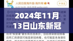 山東新冠疫情最新報(bào)告，多維視角下的深度分析（2024年11月13日）