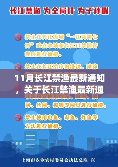 長江禁漁最新通知執(zhí)行步驟指南，初學者與進階用戶操作手冊