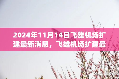 2024年11月14日飛雄機(jī)場(chǎng)擴(kuò)建最新進(jìn)展與動(dòng)態(tài)