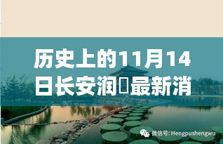 長安潤璟秘境探索，歷史與美食的碰撞時刻，最新消息揭秘秘密小店