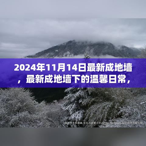 最新成地墻下的溫馨日常，友誼與愛共筑美好家園的2024年1月記事