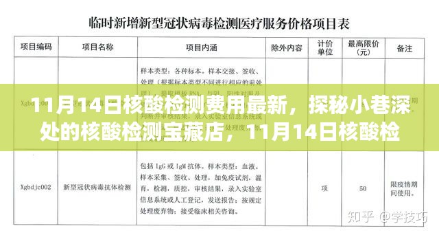 探秘核酸檢測(cè)寶藏店，揭秘最新核酸檢測(cè)費(fèi)用新鮮事（11月14日更新）