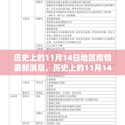 歷史上的11月14日全球疫情進(jìn)展與地區(qū)動態(tài)分析，最新消息及進(jìn)展概述