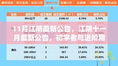 江陰十一月最新公告發(fā)布，初學(xué)者與進(jìn)階用戶(hù)指南詳解