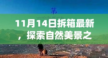 11月14日最新拆箱體驗(yàn)，自然美景之旅，尋找內(nèi)心的寧靜與喜悅