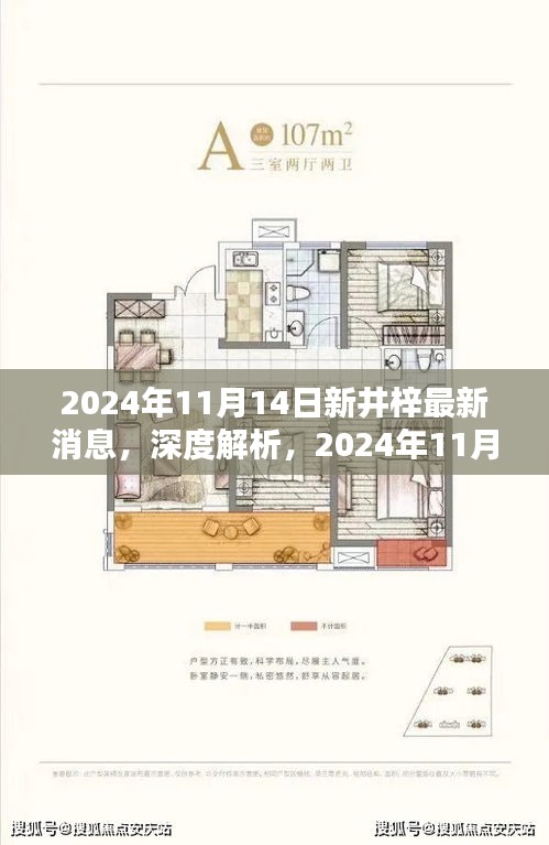 深度解析，2024年11月14日新井梓產(chǎn)品最新消息揭秘，特性、用戶體驗與目標用戶群體探討