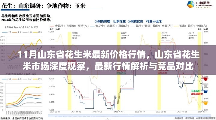 11月山東省花生米最新價(jià)格行情，山東省花生米市場(chǎng)深度觀察，最新行情解析與競(jìng)品對(duì)比