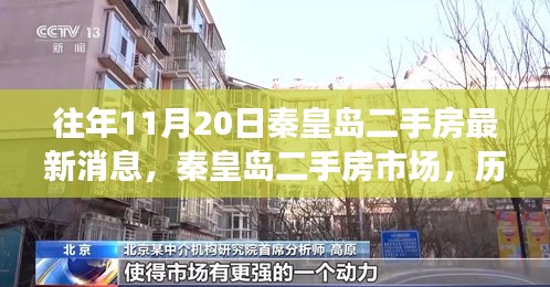 歷年11月20日秦皇島二手房市場動態(tài)及深度洞察