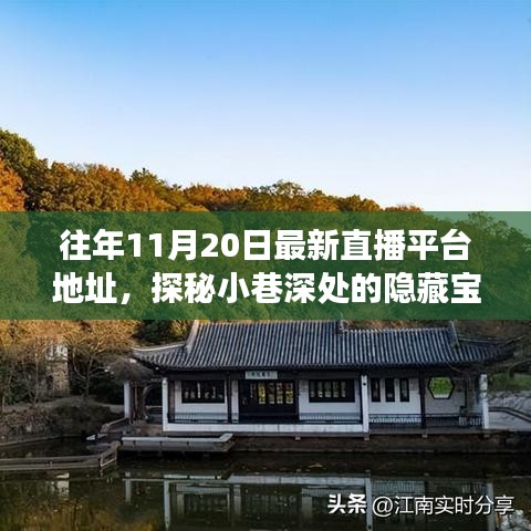 探秘小巷深處的寶藏，十一月二十日最新直播平臺獨(dú)特魅力之旅的地址分享