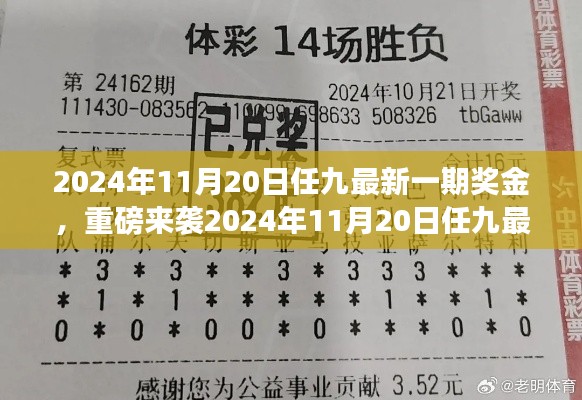 揭秘2024年11月20日任九最新一期獎金揭曉，財富密碼大解密！