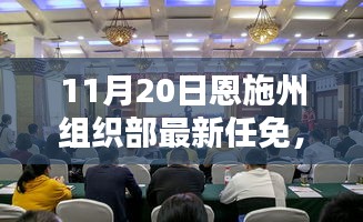 恩施州組織部最新任免動態(tài)解析及用戶群體分析，特性、體驗(yàn)與競品對比報(bào)告