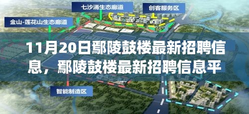 11月20日鄢陵鼓樓最新招聘信息及平臺(tái)深度評(píng)測(cè)，特性、體驗(yàn)與用戶洞察