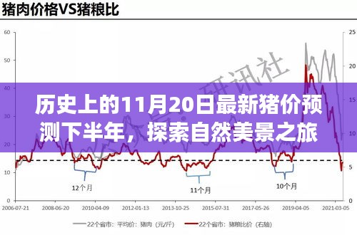 歷史上的11月20日豬價預(yù)測與心靈寧靜尋覓之旅，自然美景探索