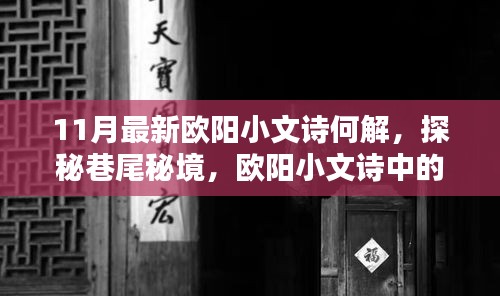 歐陽(yáng)小文詩(shī)探秘巷尾秘境，揭秘新解與隱藏佳肴