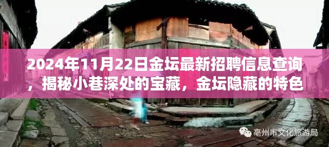 揭秘金壇隱藏特色小店與最新招聘信息奇遇記，2024年11月22日金壇招聘信息深度查詢(xún)