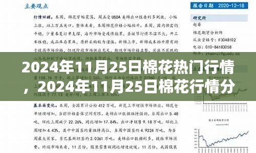 棉花行情深度解析，從入門到精通——2024年11月25日棉花行情指南