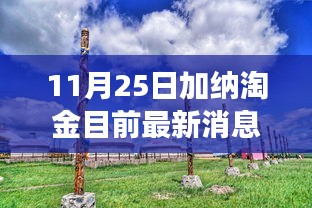 加納淘金最新動態(tài)，探尋秘境的心靈之旅