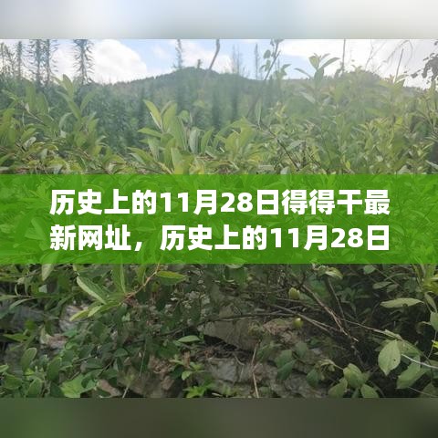 歷史上的11月28日，追尋自然美景之旅，探索內心寧靜港灣的新網址揭秘