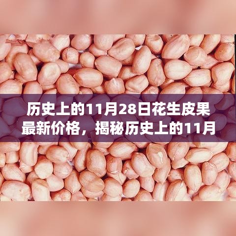 全方位解析，歷史上的11月28日花生皮果最新價格獲取與解讀步驟指南