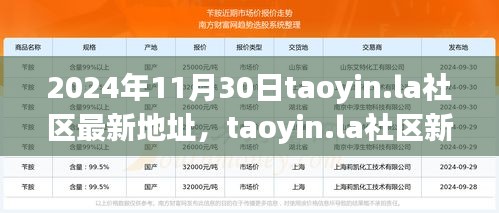 2024年11月30日taoyin.la社區(qū)新址展望，機(jī)遇與挑戰(zhàn)并存