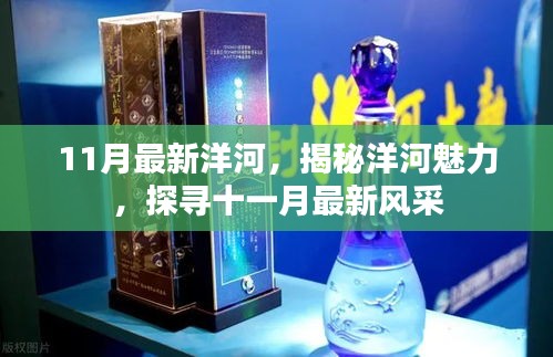 揭秘洋河魅力，十一月最新風(fēng)采展示