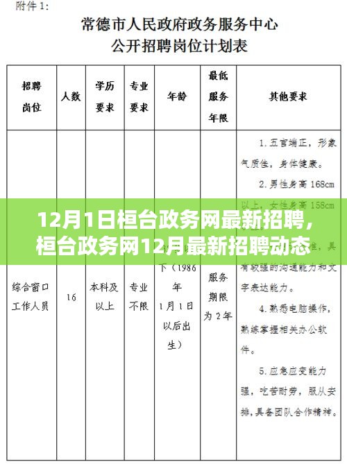 桓臺政務網12月最新招聘動態(tài)，開啟職業(yè)機遇之門