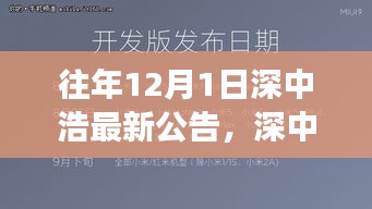 深中浩歷年公告深度解析，背景、事件與領(lǐng)域地位回顧之最新公告解讀