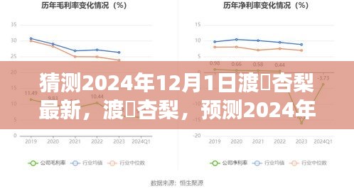 渡辺杏梨2024年12月1日全新風(fēng)采預(yù)測