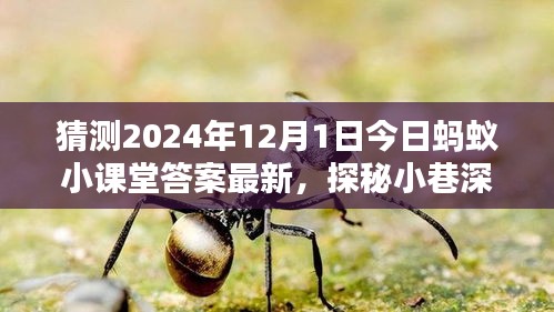 探秘螞蟻小課堂答案背后的神秘小店，2024年12月1日小巷深處的獨(dú)特風(fēng)味揭曉