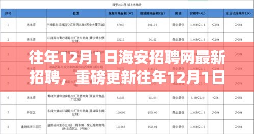 往年12月1日海安招聘網最新職位信息揭秘，求職者福音