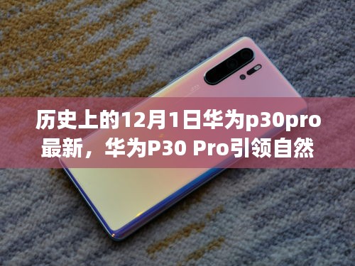 華為P30 Pro引領(lǐng)自然探索之旅，一場(chǎng)歷史與科技的奇妙旅程（最新資訊）