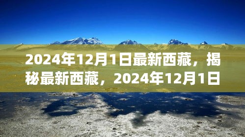 揭秘最新西藏，2024年西藏之旅的精彩瞬間（獨(dú)家報(bào)道）