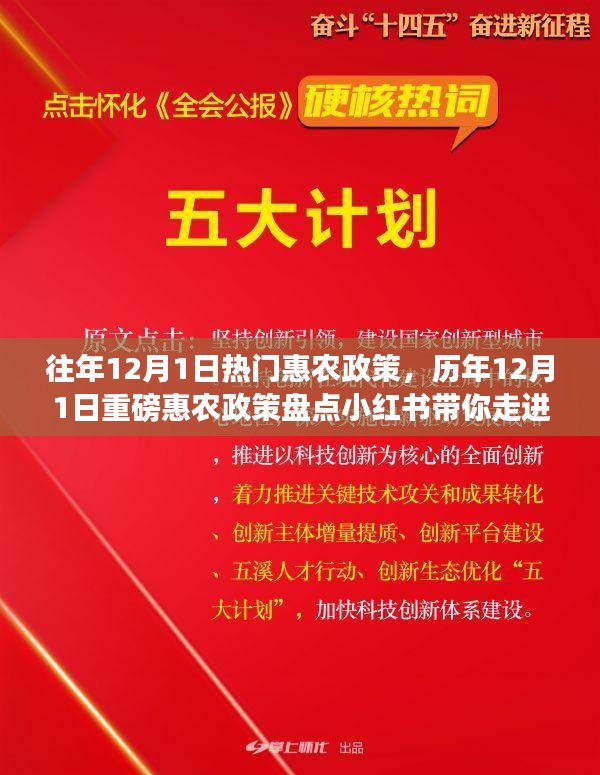 歷年12月1日惠農政策盤點，走進紅利時代的鄉(xiāng)村福利小紅書分享會