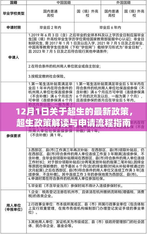 超生政策解讀與申請(qǐng)流程指南，最新政策解讀適用于初學(xué)者與進(jìn)階用戶