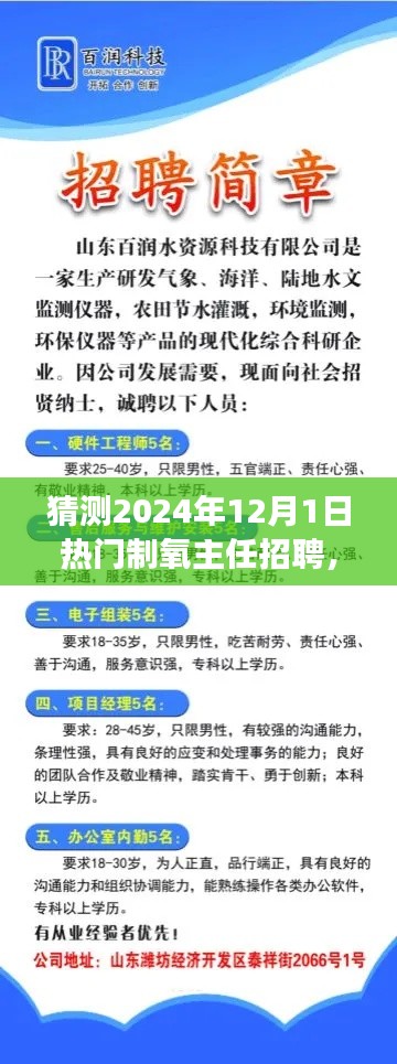 把握未來，挑戰(zhàn)熱門制氧主任崗位，2024年招聘展望與自我超越之路