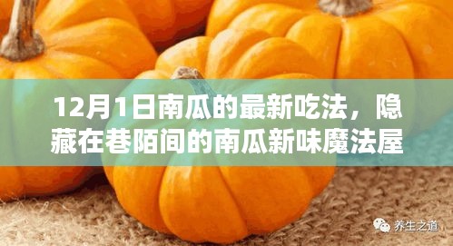 12月1日南瓜新味魔法屋，探秘南瓜盛宴的隱藏魅力