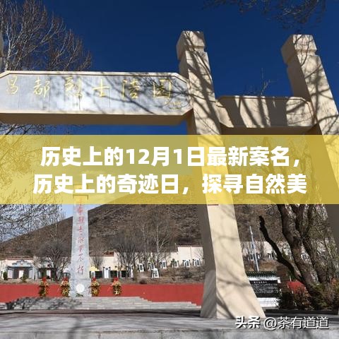 探尋奇跡日，歷史上的自然美景之旅與寧?kù)o革命之路的探尋