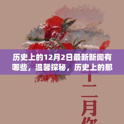 溫馨探秘，歷史上的十二月二日最新新聞與日常小故事回顧