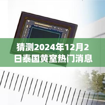 泰國黃室風(fēng)云揭秘，學(xué)習(xí)變革與夢想實(shí)現(xiàn)，2024年12月2日的輝煌展望