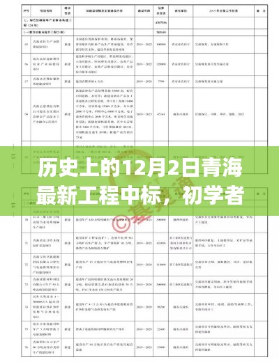 歷史上的12月2日青海最新工程中標(biāo)，初學(xué)者與進階用戶的全程指南