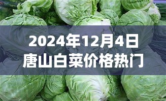 唐山白菜情緣，冬日蔬菜市場(chǎng)的溫情故事與白菜價(jià)格行情解析